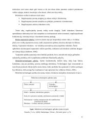 Organizacijos rinkodaros aplinka: kelionių organizatorius UAB "7 mylios" 11 puslapis