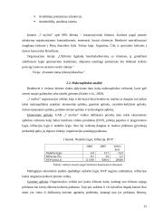 Organizacijos rinkodaros aplinka: kelionių organizatorius UAB "7 mylios" 15 puslapis