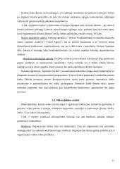 Organizacijos rinkodaros aplinka: kelionių organizatorius UAB "7 mylios" 17 puslapis
