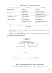 Organizacijos rinkodaros aplinka: kelionių organizatorius UAB "7 mylios" 18 puslapis