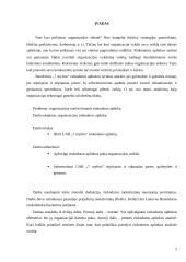 Organizacijos rinkodaros aplinka: kelionių organizatorius UAB "7 mylios" 5 puslapis