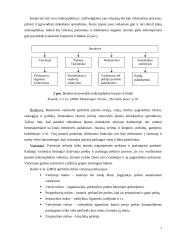 Organizacijos rinkodaros aplinka: kelionių organizatorius UAB "7 mylios" 7 puslapis