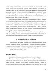 Organizacijos valdymo analizė 12 puslapis