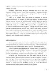 Organizacijos valdymo analizė 13 puslapis