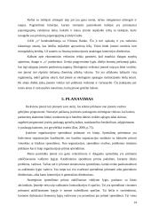 Organizacijos valdymo analizė 14 puslapis