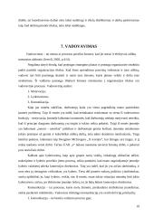 Organizacijos valdymo analizė 19 puslapis