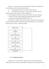 Organizacijos valdymo analizė 6 puslapis