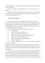 Organizacijos valdymo analizė 9 puslapis