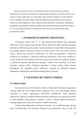 Organizacijos valdymo analizė 10 puslapis