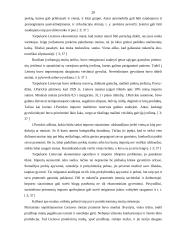 Mokesčių istorinė raida Lietuvoje 1918-2006 metais 17 puslapis
