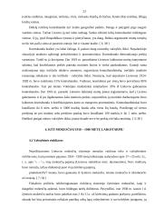 Mokesčių istorinė raida Lietuvoje 1918-2006 metais 20 puslapis