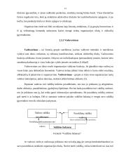 Organizacijos valdymo analizė: UAB "Vindruva" 13 puslapis