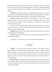 Organizacijos valdymo analizė: UAB "Vindruva" 15 puslapis