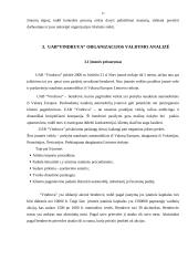 Organizacijos valdymo analizė: UAB "Vindruva" 17 puslapis