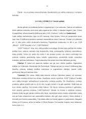 Organizacijos valdymo analizė: UAB "Vindruva" 19 puslapis
