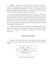 Organizacijos valdymo analizė: UAB "Vindruva" 4 puslapis
