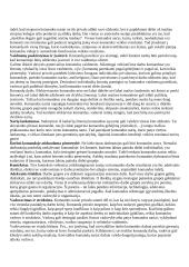 Geras pasiruošimas organizacinės elgsenos egzaminui 2 puslapis