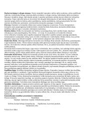 Geras pasiruošimas organizacinės elgsenos egzaminui 3 puslapis