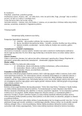 Geras pasiruošimas organizacinės elgsenos egzaminui 4 puslapis