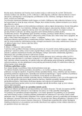 Geras pasiruošimas organizacinės elgsenos egzaminui 6 puslapis