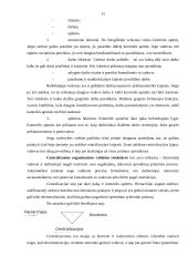 Organizacijos valdymo struktūra: vainikėlių, krepšelių, kryželių gamyba UAB "Jansora" 11 puslapis