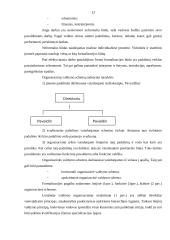 Organizacijos valdymo struktūra: vainikėlių, krepšelių, kryželių gamyba UAB "Jansora" 13 puslapis