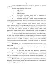 Organizacijos valdymo struktūra: vainikėlių, krepšelių, kryželių gamyba UAB "Jansora" 15 puslapis