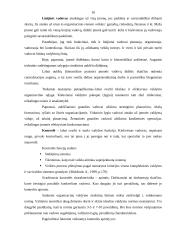 Organizacijos valdymo struktūra: vainikėlių, krepšelių, kryželių gamyba UAB "Jansora" 10 puslapis
