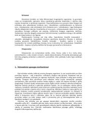 Infekcinis procesas (patologinė fiziologija) 3 puslapis