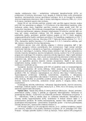 Infekcinis procesas (patologinė fiziologija) 5 puslapis