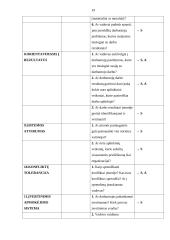 Organizacinės kultūros tyrimas: UAB "Samsonas" 19 puslapis