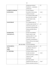 Organizacinės kultūros tyrimas: UAB "Samsonas" 20 puslapis