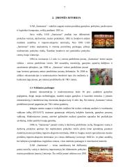 Organizacinės kultūros tyrimas: UAB "Samsonas" 7 puslapis