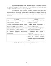 Organizacinės struktūros 12 puslapis