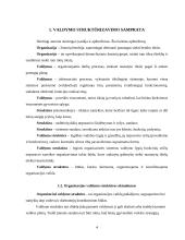Organizacinės struktūros 4 puslapis