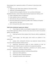 Organizacinės struktūros 5 puslapis