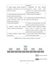 Organizacinės struktūros 8 puslapis