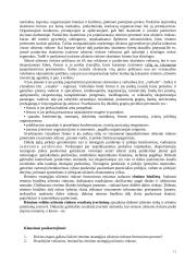 Tarptautinė rinkodara 11 puslapis