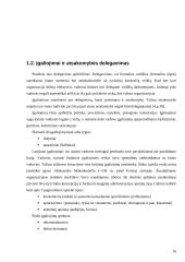 Organizacinės valdymo problemos 16 puslapis