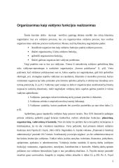 Organizacinės valdymo problemos 3 puslapis