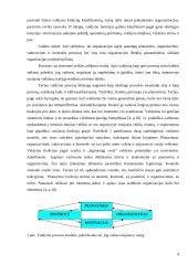Organizacinės valdymo problemos 4 puslapis
