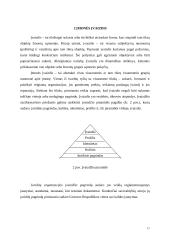 Ryšiai su visuomene. Teorija 17 puslapis