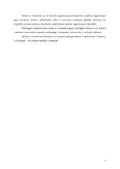 Ryšiai su visuomene. Teorija 4 puslapis