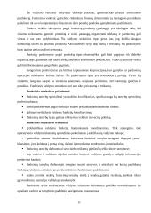 Organizacinių valdymo struktūrų tipai 8 puslapis