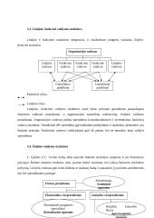 Organizacinių valdymo struktūrų tipai 9 puslapis