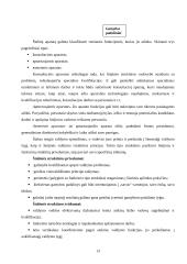 Organizacinių valdymo struktūrų tipai 10 puslapis