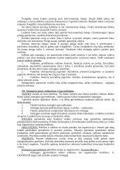 Strategija ir planavimas 6 puslapis