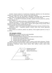 Strategija ir planavimas 8 puslapis
