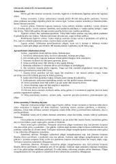 Žemės dirbimas 3 puslapis