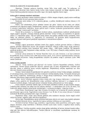 Žemės dirbimas 4 puslapis